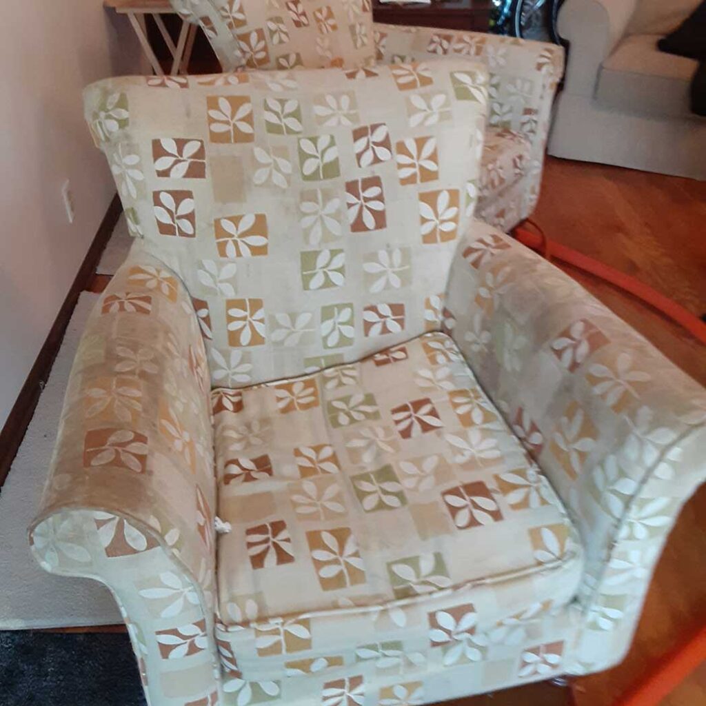 Chair Upholstery Cleaning Before