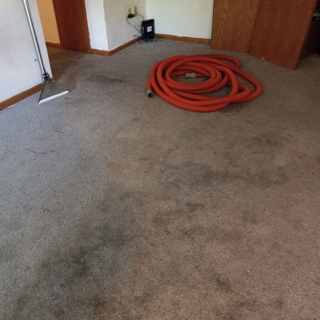 BEFORE: Brighten a Room with Carpet Cleaning