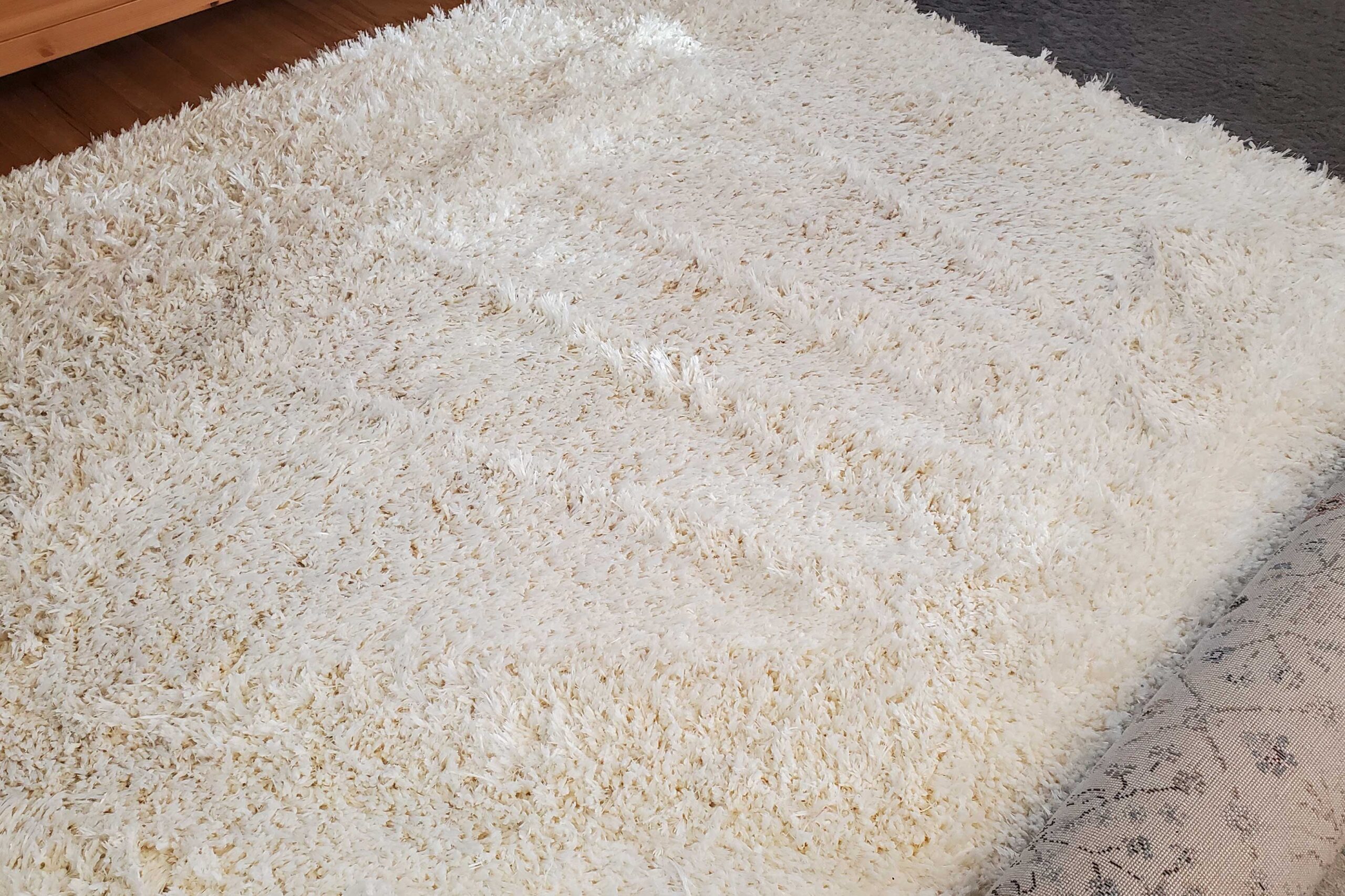 Love Your Carpet Sale