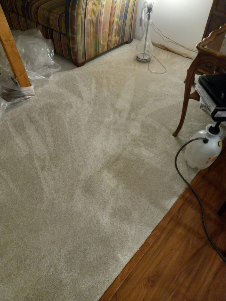 Water Based Stain Removal, Carpet Cleaning Minneapolis