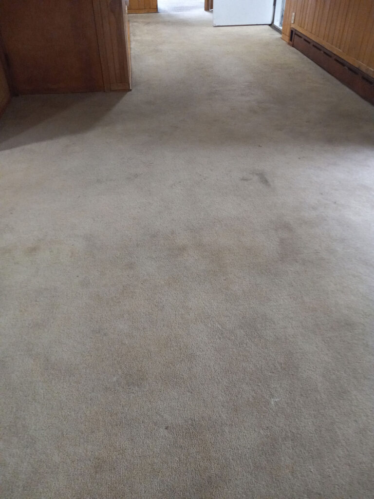 Carpet Cleaning in Saint Paul, Stain Removal, After