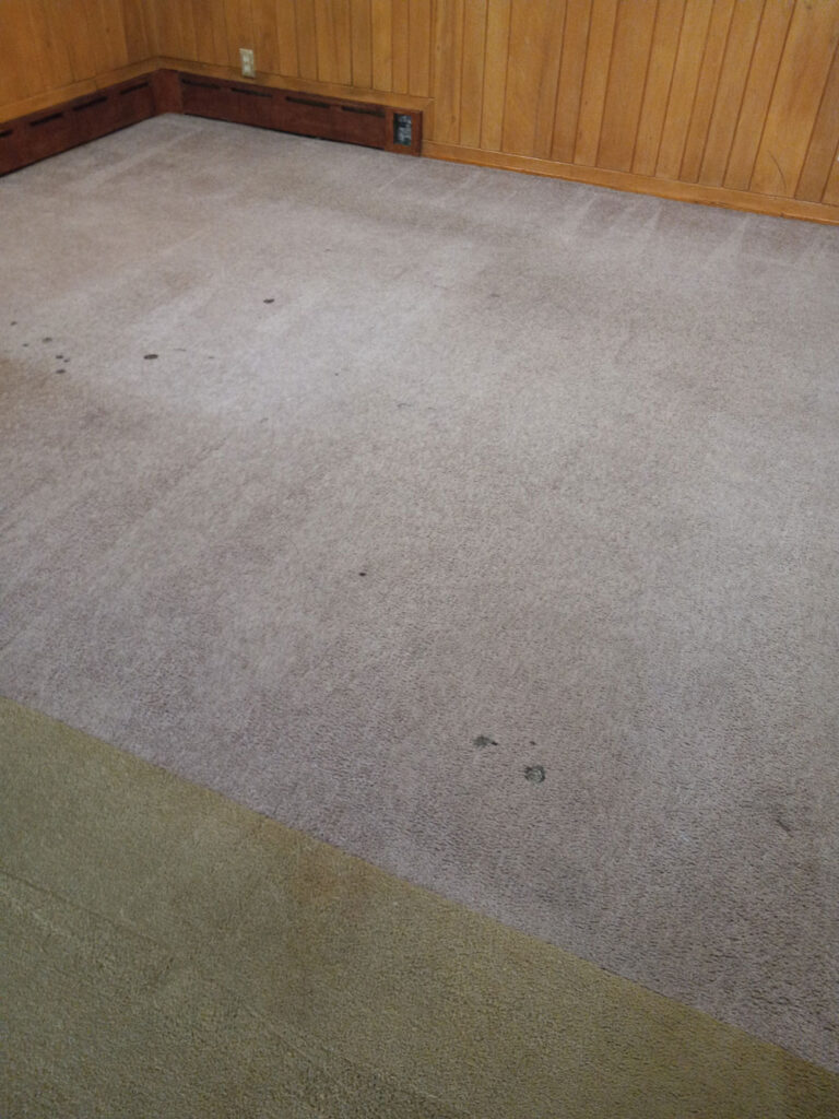 Carpet Cleaning in Saint Paul, Stain Removal, Before