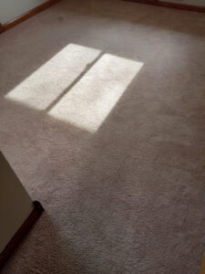 Carpet Cleaning for Real Estate Showing, Before