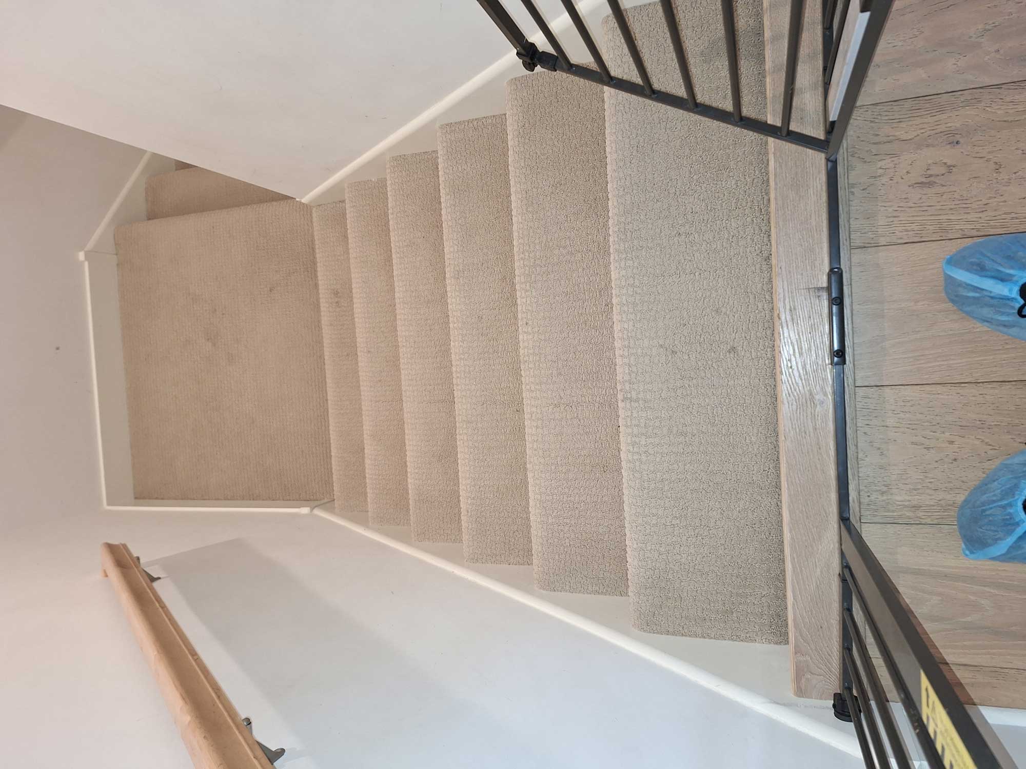 Spring Cleaning Carpet and Rugs