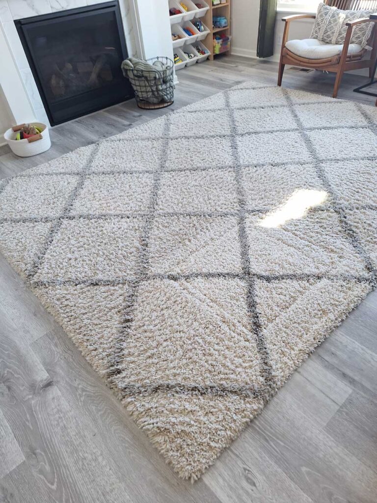 Professional Minneapolis sofa and rug cleaning, treatment for accidents like vomit spots, discoloration and odors