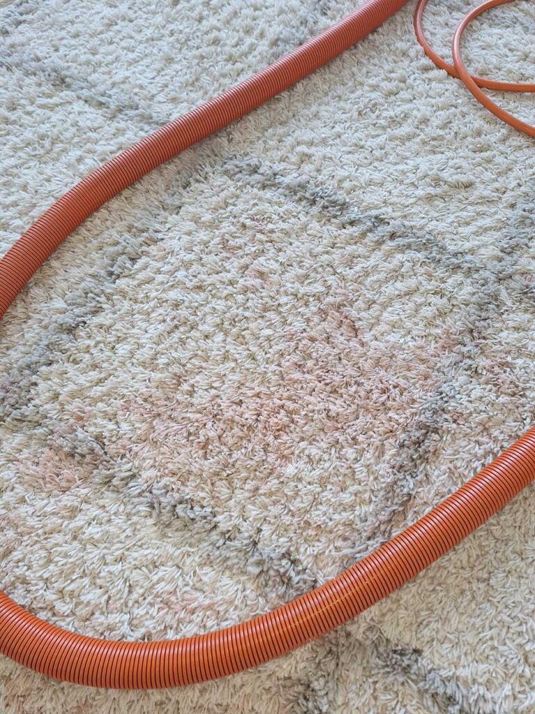 Professional Minneapolis sofa and rug cleaning, treatment for accidents like vomit spots, discoloration and odors