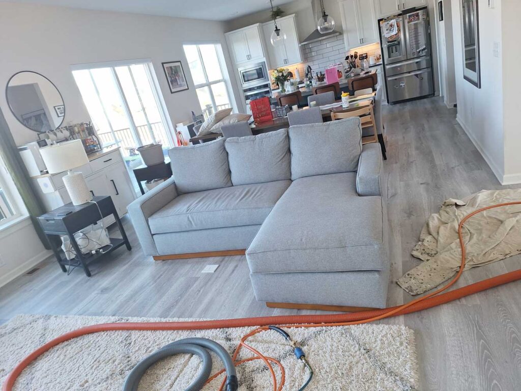 Professional Minneapolis sofa and rug cleaning, treatment for accidents like vomit spots, discoloration and odors