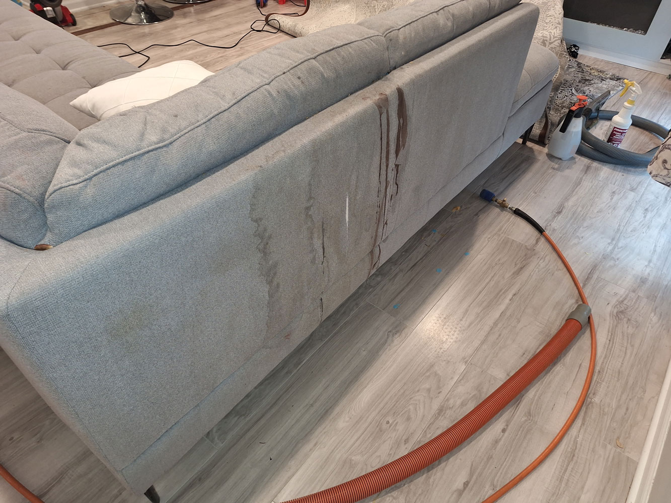 Safe, Easy Upholstery Cleaning