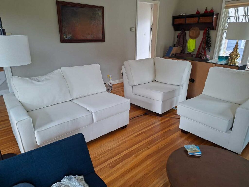Hyland Park carpet and upholstery cleaning odor sensitive