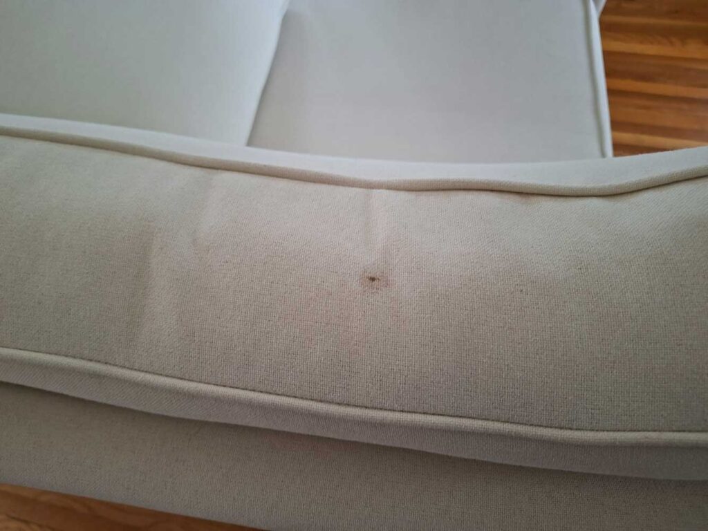 Hyland Park carpet and upholstery cleaning odor sensitive