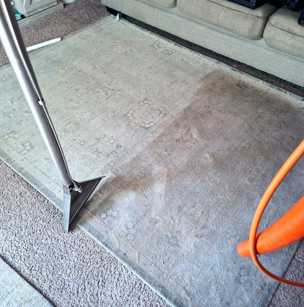 area rug cleaning after a move in Minneapolis